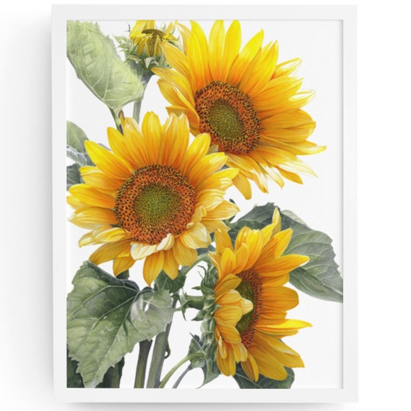 Watercolor Sunflowers Wall Art Print, Unframed - Bright Floral Charm - Picture 1 of 7